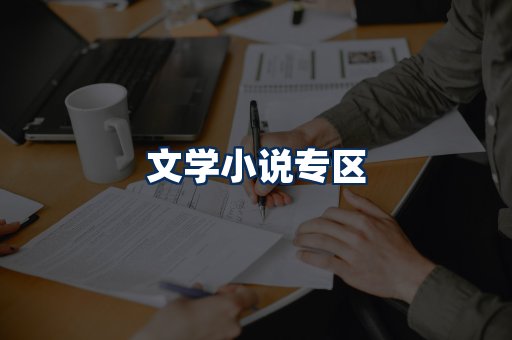 文学小说PDF展示